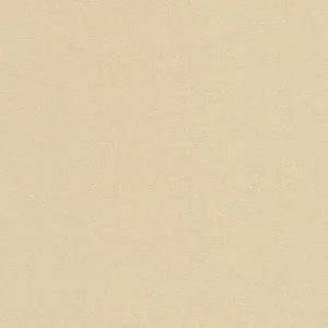 Radiance Silk Cotton Blend in Champagne